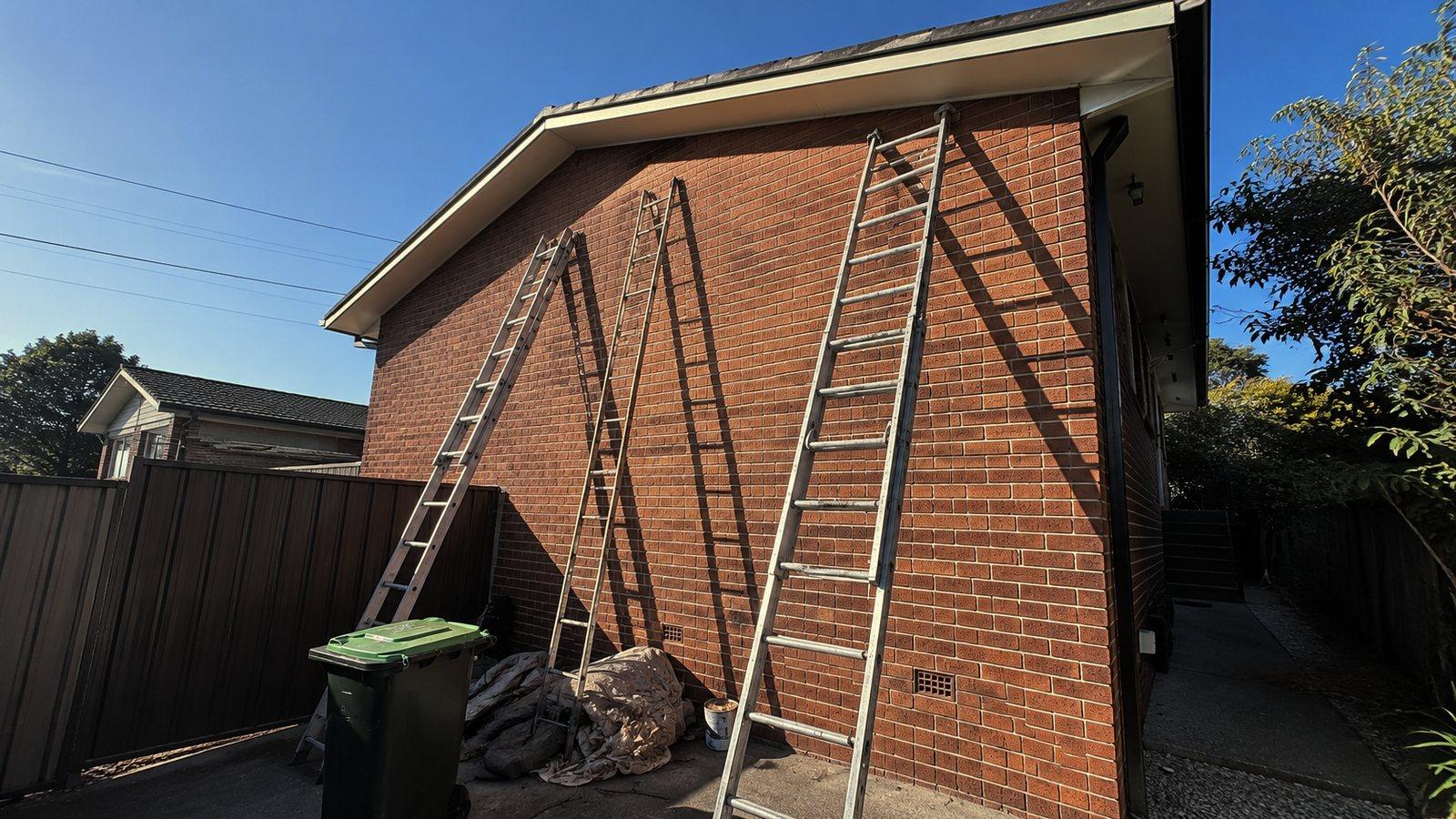 Extension ladders leaning against the brick side wall of a suburban house, with drop sheets and a bucket on the path