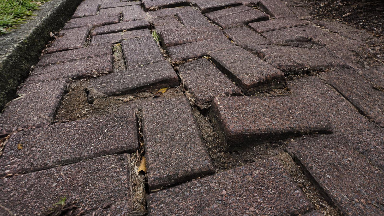 Pavers sunk and sitting proud of each other, the joints open and the bedding sand washed out